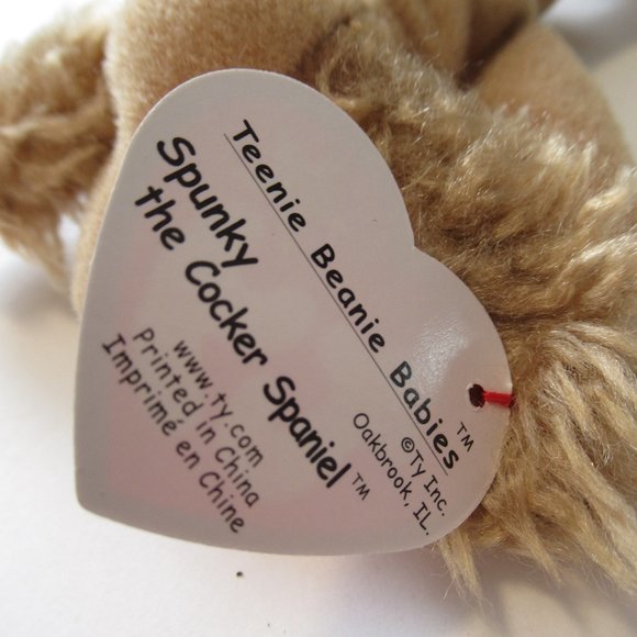 Spunky the catnip teenie Cocker Spanel - Picture 2 of 5